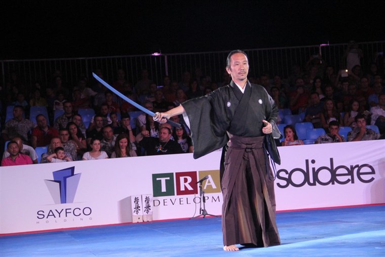 Martial Arts Festival